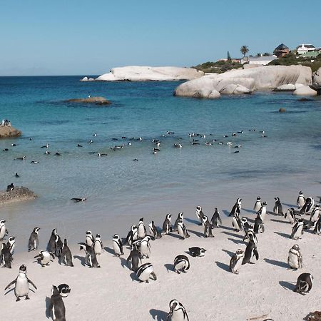 Penguin Haven . Luxury 2 Bedroom, Boulders Beach. Кейптаун Екстер'єр фото